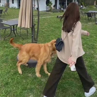 扬子江事件 在线观看